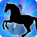 Horse Spirit Animal Zodiac