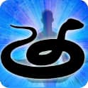 Snake Spirit Animal Zodiac