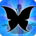 Butterfly Zodiac