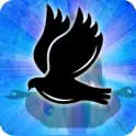 Dove Zodiac