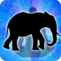 Elephant Zodiac