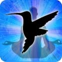 Hummingbird Zodiac