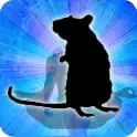 Mouse Zodiac