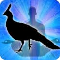 Peacock Zodiac