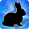Rabbit Zodiac