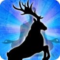 Reindeer Spirit Animal