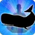 Whale Zodiac