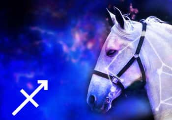 Sagittarius Spirit Animal: Horse
