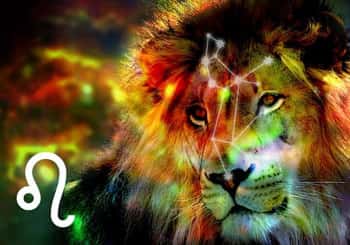 Leo Spirit Animal: Lion
